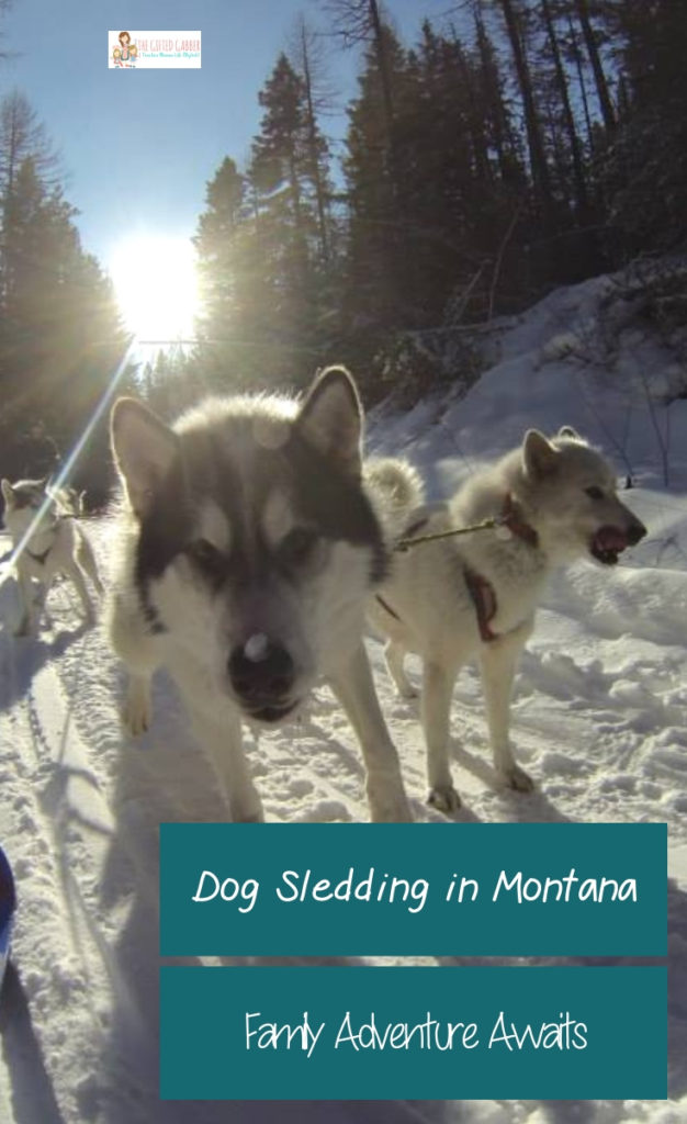 Check something off your winter bucket list! Plan an unforgettable dog sledding trip in Montana! Dog mushing with Siberian huskies is a fun adventure, but there are things to consider. Plan your dog sledding outfit carefully! Consider whether this is a trip for kids or not. Consider time frames. Take tips from an insider - a dog musher in Montana! #winter #montana #dogsledding