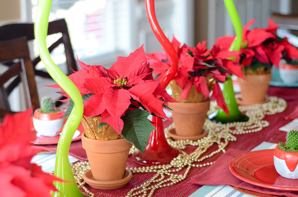 three Christmas plants with red leaves on a holiday table as decoration
