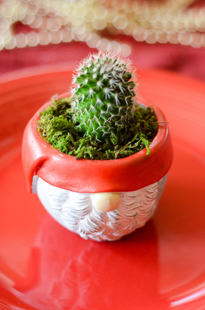 a Christmas cactus in Santa pot on Christmas home tour