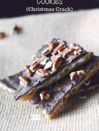 chocolate saltine cracker candy with pecans on burlap background