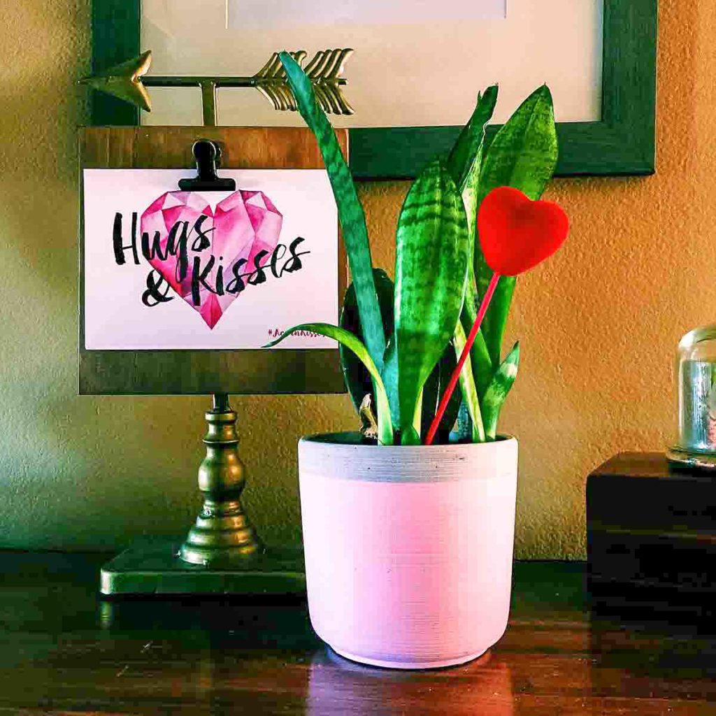 a repurposed greeting card and snake plant with a heart decoration in a Valentine's Home Tour