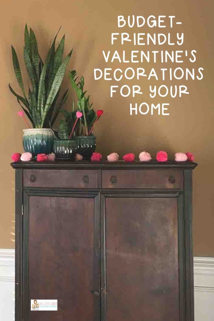 three indoor plants in pots with Valentine's decorations for Valentine's home tour