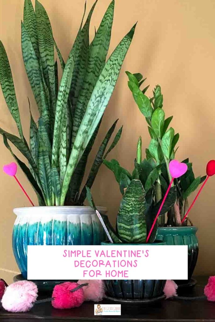 two snake plants and one ZZ plant in teal pots for a Valentine's home tour