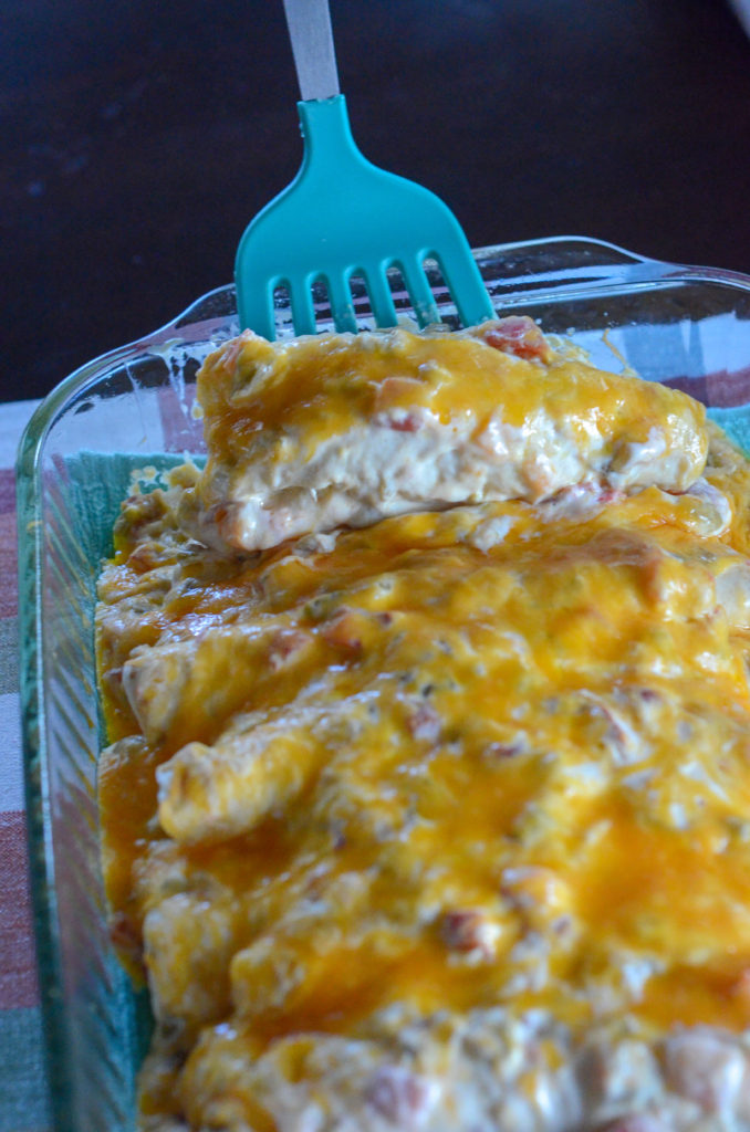 pan of green chili chicken enchiladas hot out of the oven