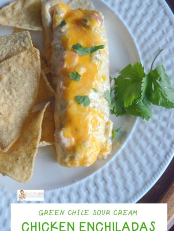 one sour cream chicken enchilada with chips on white plate