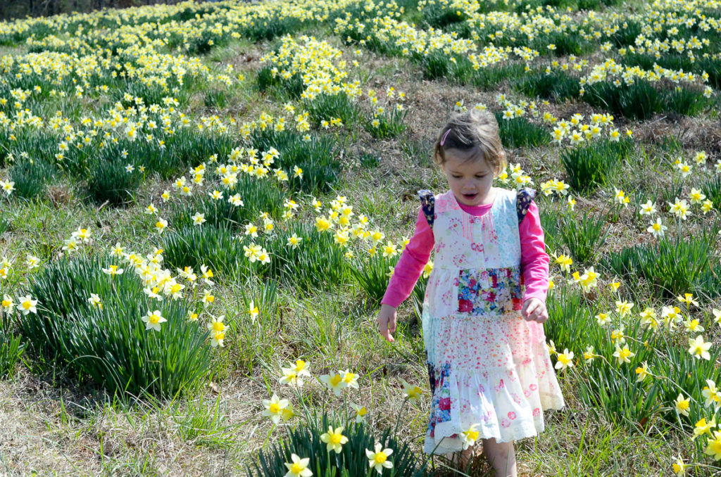 Wye Mountain Daffodil Festival - Festival Fashion - Arkansas - Folk Festival - Daffodils - Toddler Fashion - Kid Fashion - Mommy and Me Fashion - The Gifted Gabber
