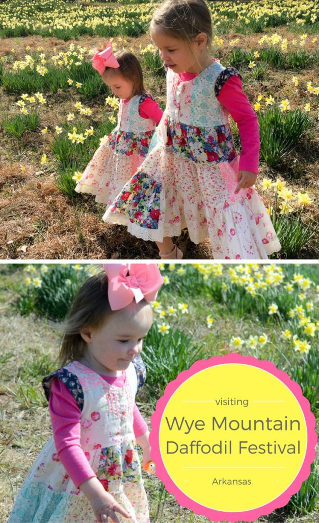 collage image of young girls in a field of Daffodils at Wye Mountain Daffodil Festival with text overlay