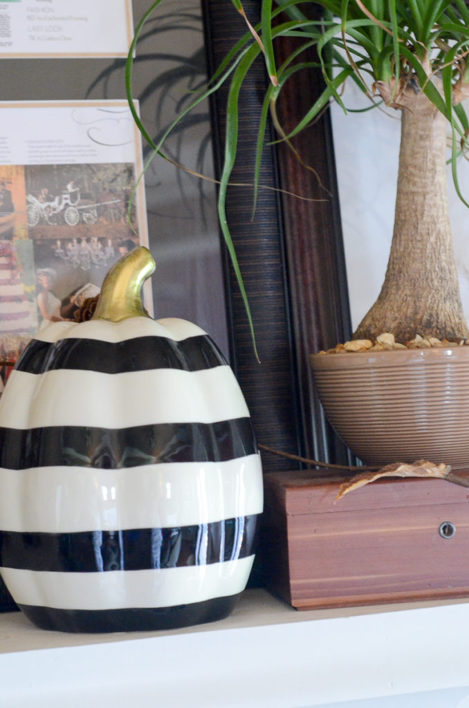 black-and-white striped pumpkin and house plant on mantle 
