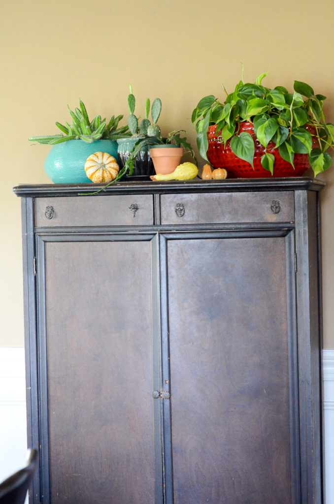 plants and gourds on top of armoire 