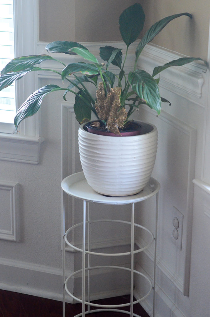 Peace Lily in white pot on plant stand 