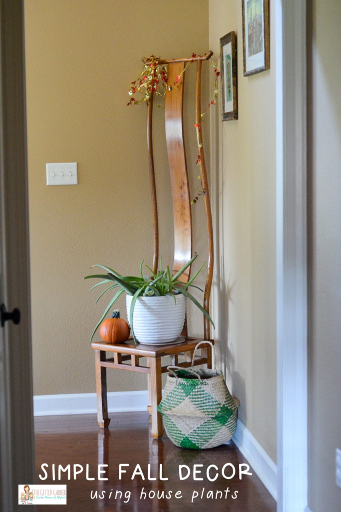 an irregular wooden chair holds a pumpkin, a house plant and a basket