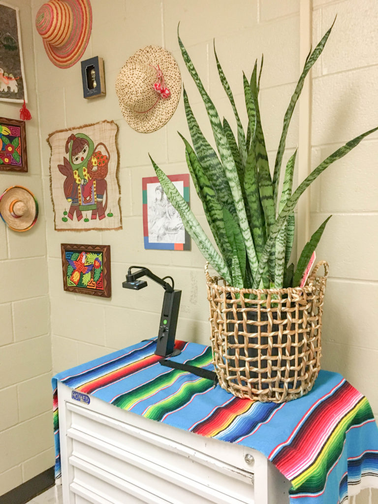 Add some life to your space - Classroom Plants - 5 Plants for Your Classroom, Home or Office - The Gifted Gabber #plants #classroom #home #office #decor #homedecor #teacher