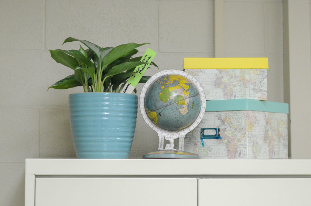 plant in teal pot, vintage globe and map photo boxes adorn a cabinet for boho classroom theme