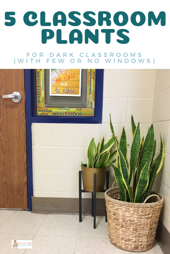 Benefits of indoor plants in classroom