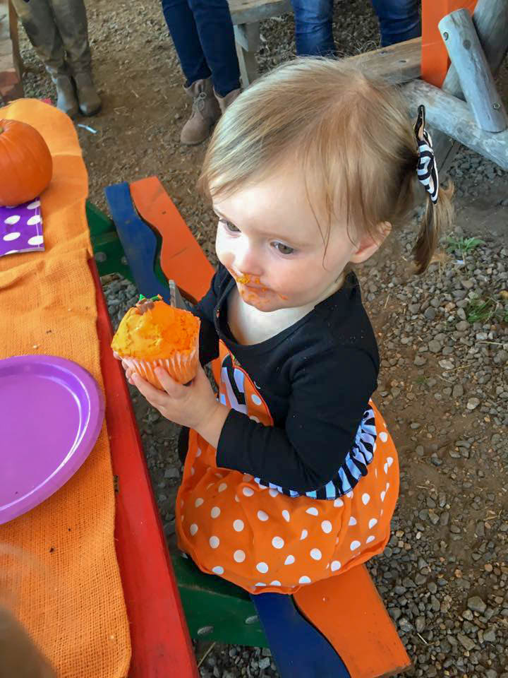 toddler eats an orange cupcake a pumpkin patch birthday party 