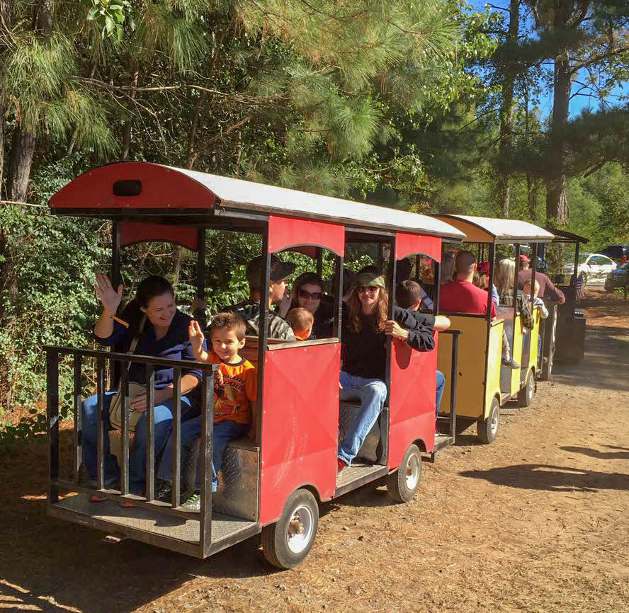 train ride at Mary's Place Nursery and Pumpkin Patch in Arkansas 