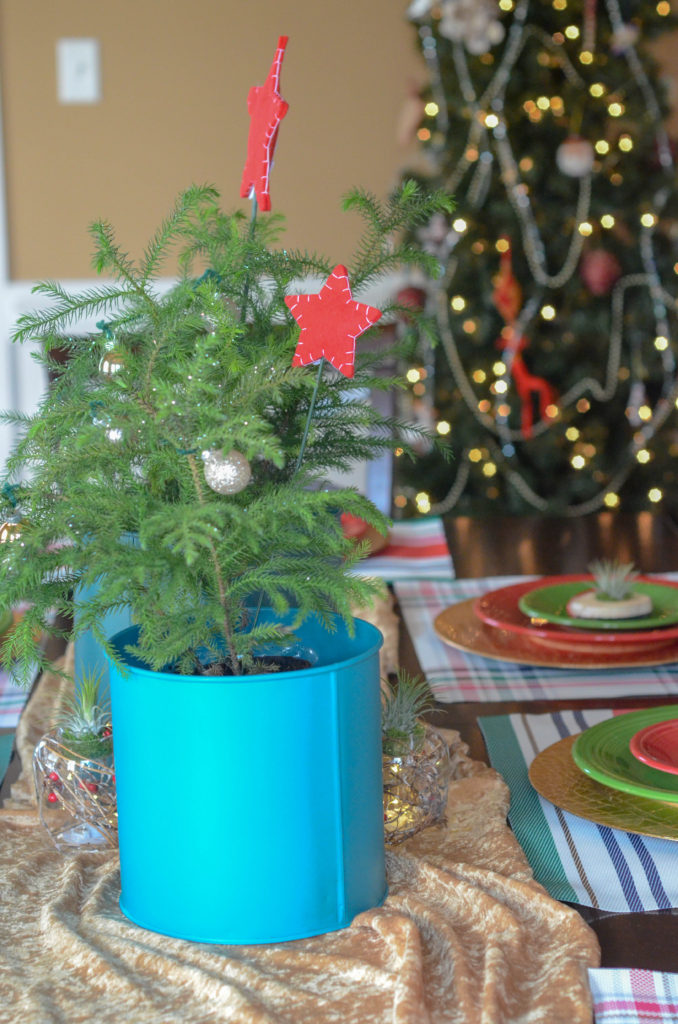 small Spruce trees and other Christmas plant decoration adorn a dining table 