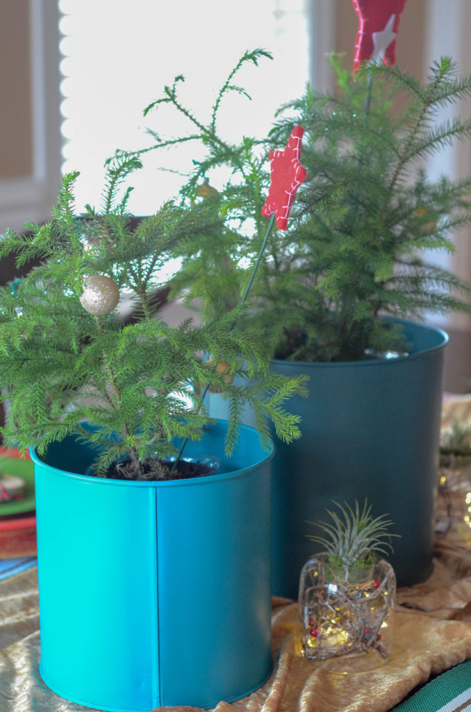 decorating house plants for Christmas on the dining table 