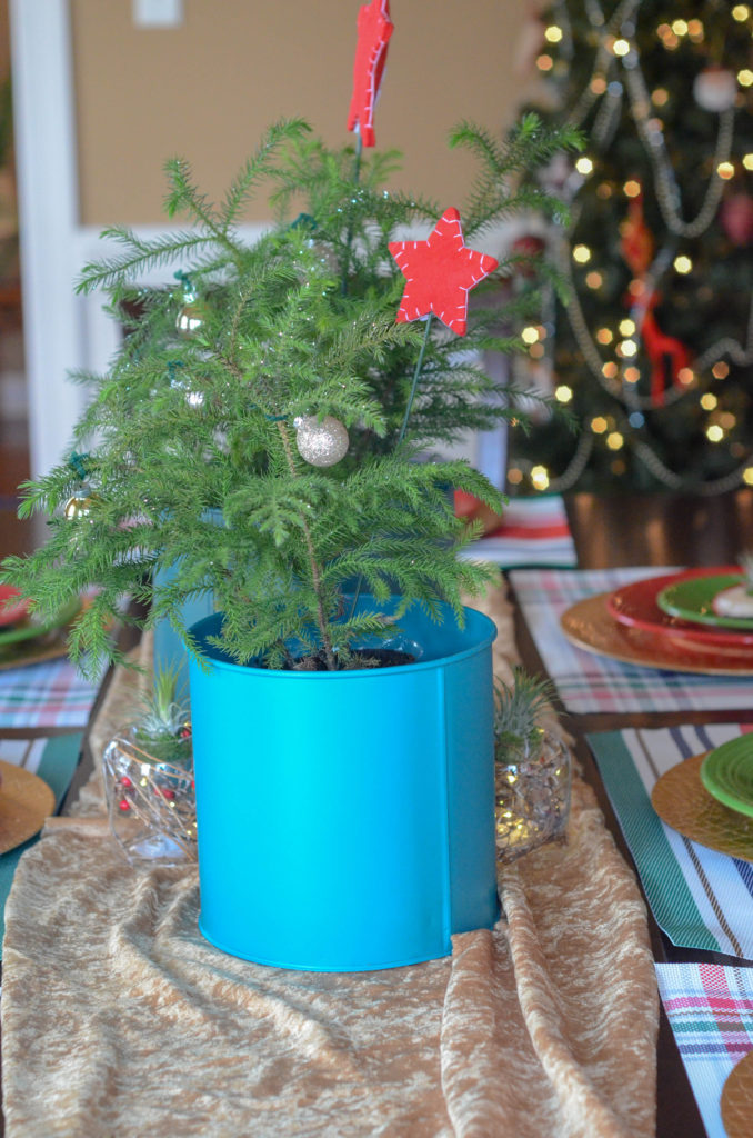 Decorating a Colorful Christmas Table with Plants