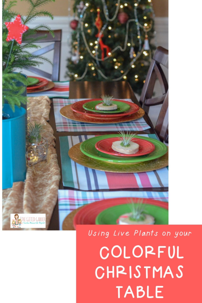 a colorful Christmas table with live house plants and text overlay 