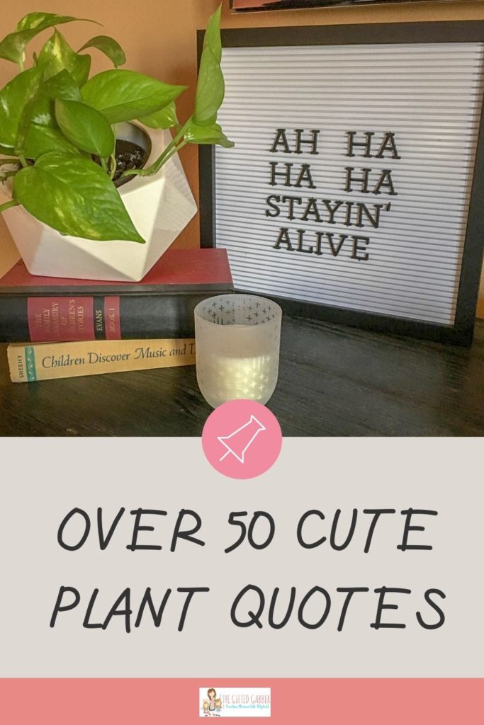 funny plant letter board with funny plant quote next potted plant on stack of books on black console