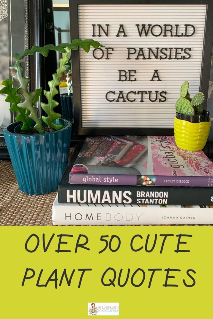 funny plant sayings on white letter board with cacti in front on top of books