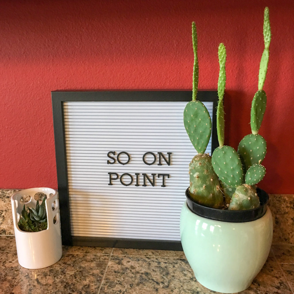 cactus in green pot with a funny plant quote on a letterboard sign 