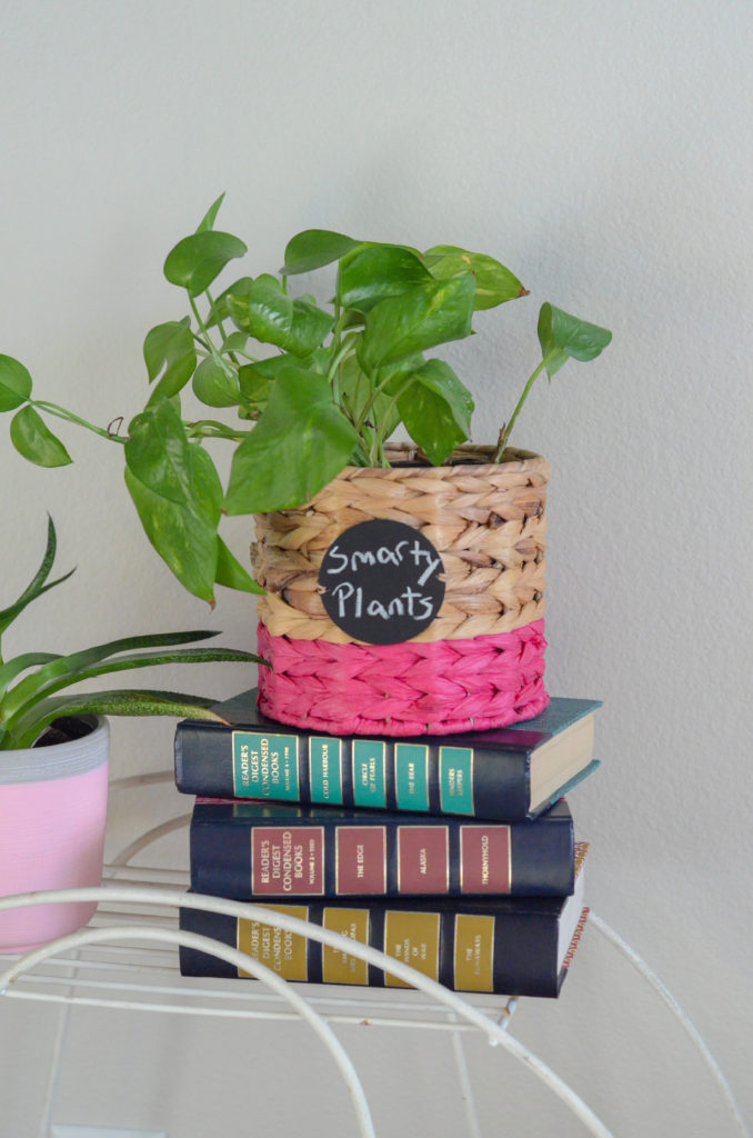 pothos in a woven basket on a stack of books with plant pun on chalkboard sign