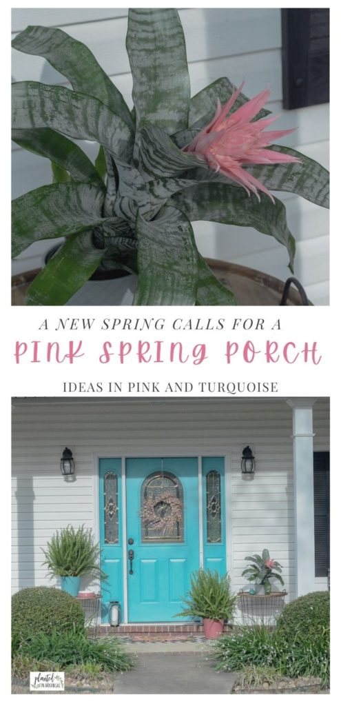 collage image of blooming pink bromeliad plant and painted front porch door in teal with pink porch decor accessories and front porch ferns