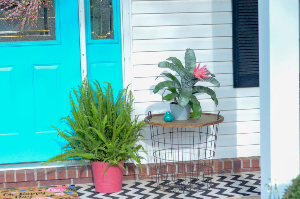 modern front porch ideas with pink porch planters with Kimberly Queen ferns on front porch and other greenery