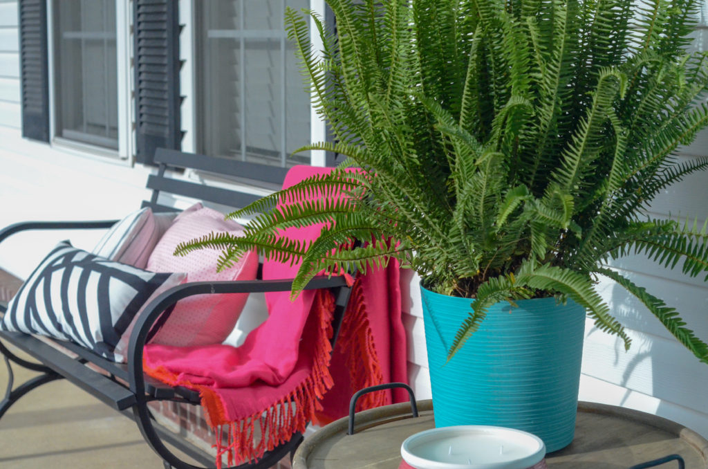Kimberly fern styled as a front porch fern in turquoise front porch planter with metal porch bench in background