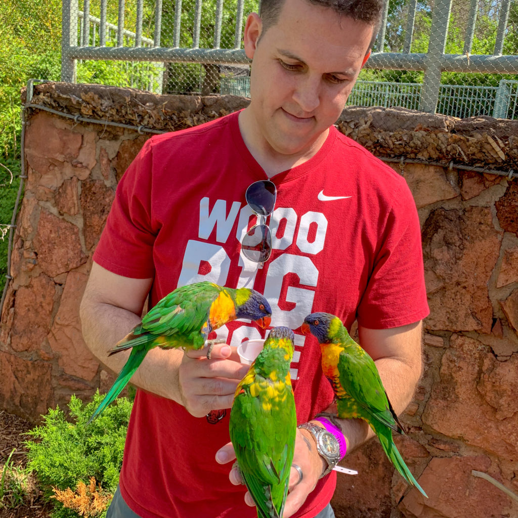 man holds three tropical birds at OKC ZOO