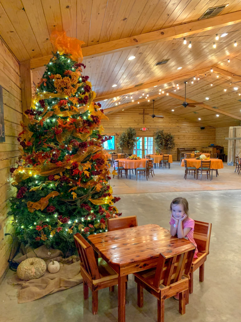 fall Christmas tree inside the lodge at Family Farm
