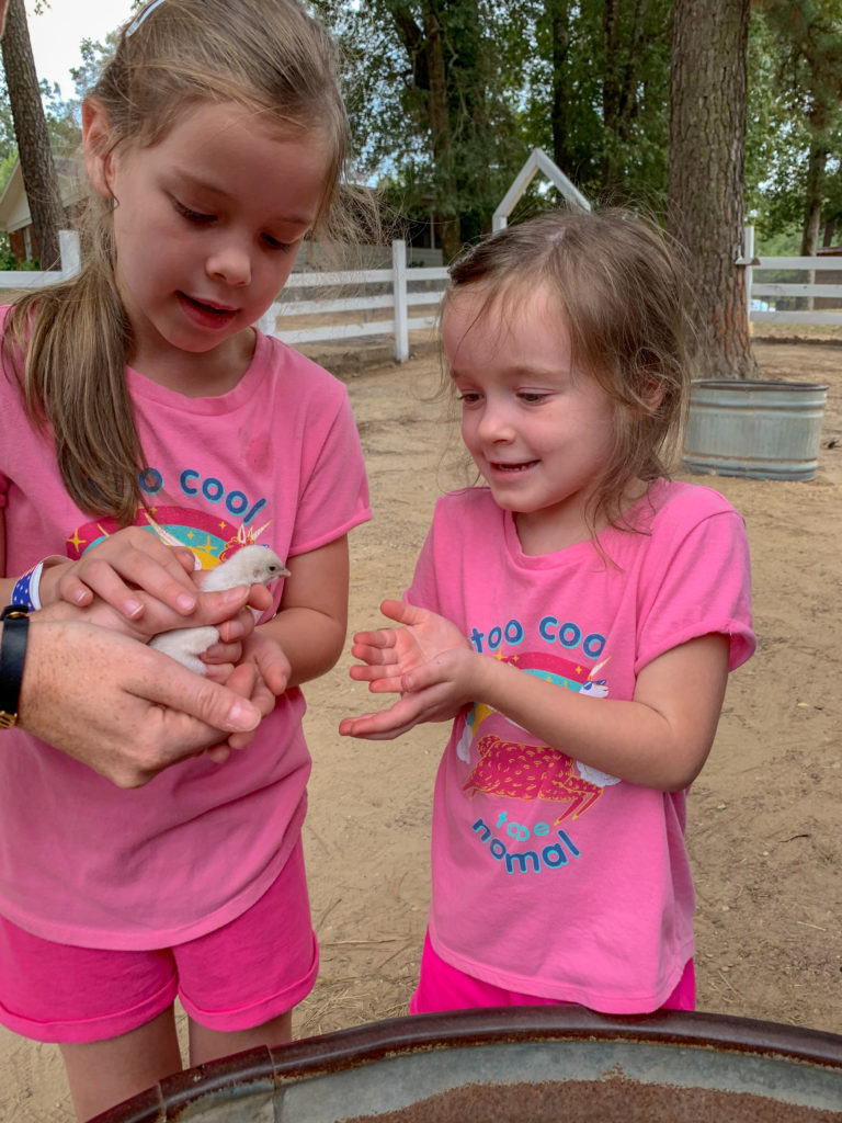 little girls hold a baby chick at Family Farm in Arkansas