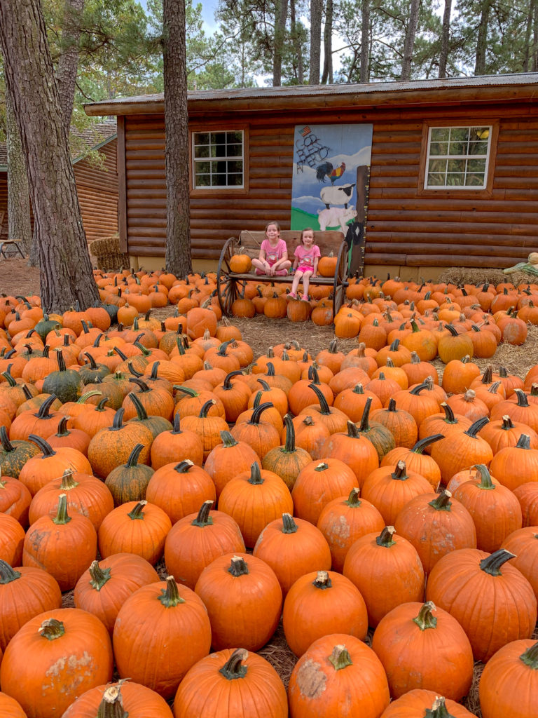 little girls sitting amongst lots of pumpkins at Family Farm in Arkansas