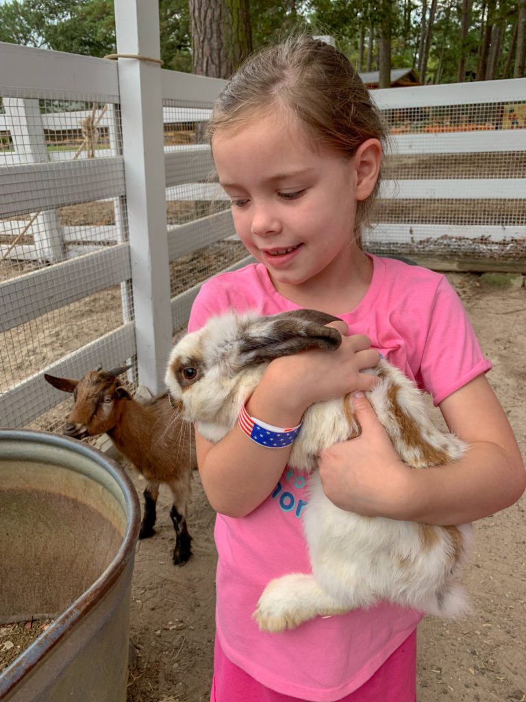 little girl holds a rabbit with a goat standing in back