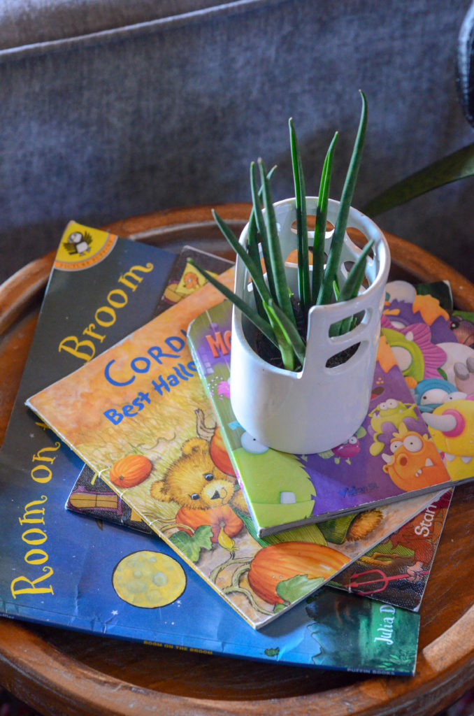 snake plant in white pot on top of Halloween books for kids
