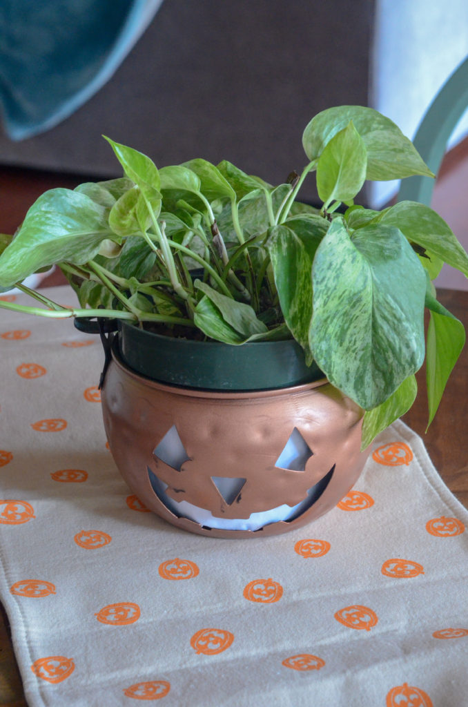jack o lantern plant pot with pothos plant