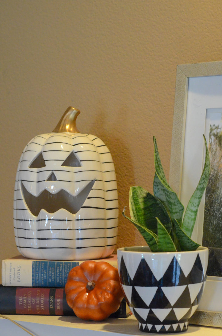 Halloween Plants for Festive Halloween Decor - The Gifted Gabber