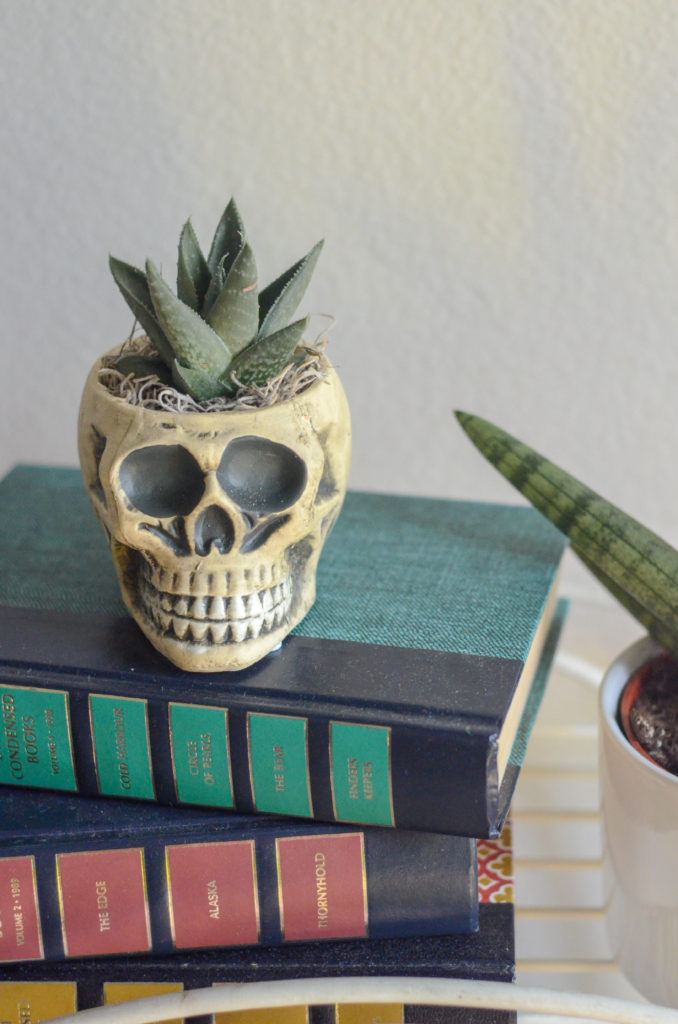 Halloween plants inside skeleton skull Halloween plants pot