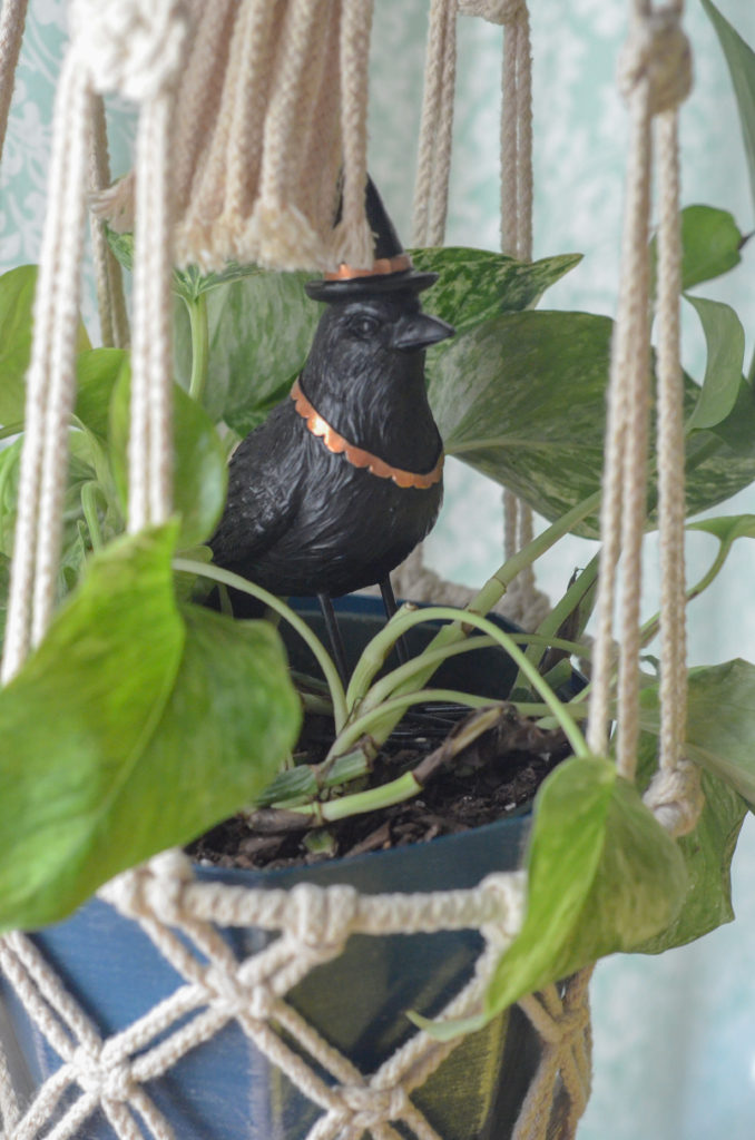 black crow nested inside a hanging plant for Halloween decor
