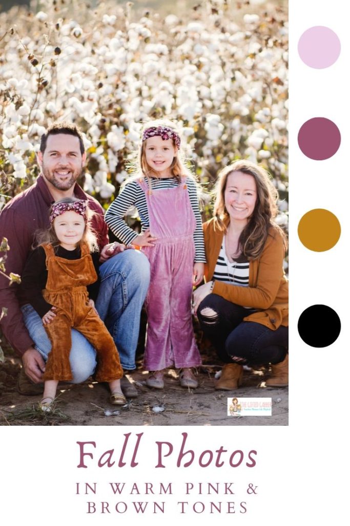image with color palette for fall cotton field family photos at Mayflower pumpkin patch