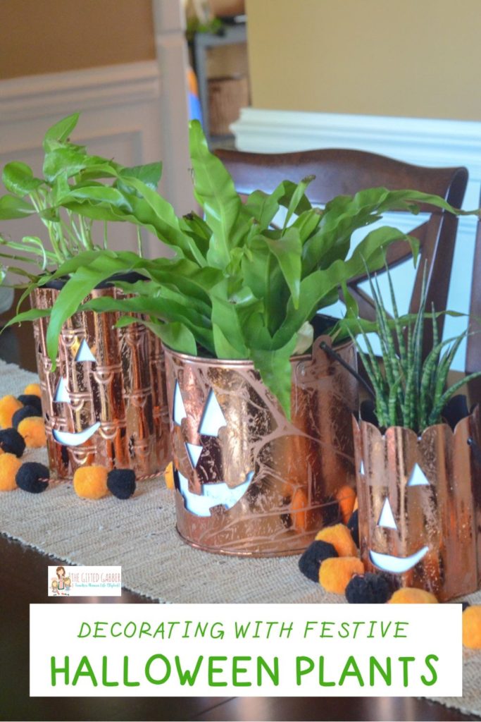 jack o lantern plant pots on dining room table as Halloween centerpiece with text overlay