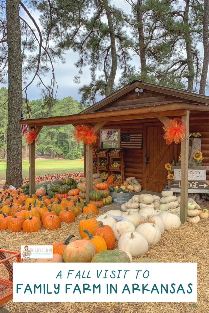 pumpkins and fall decorations at Family Farm in Malvern, AR with text overlay