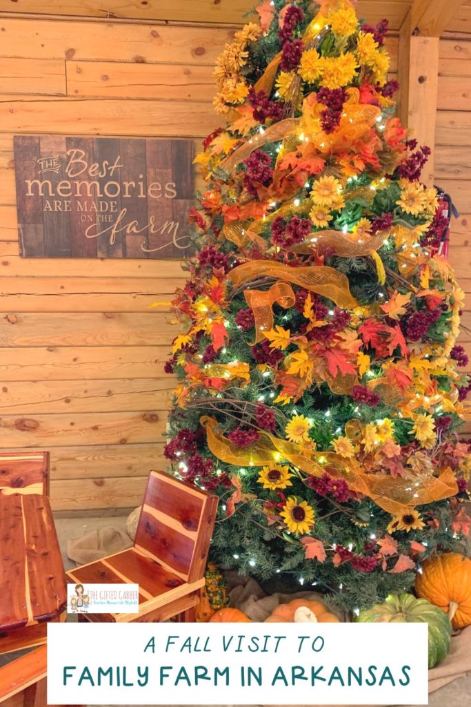fall Christmas tree at Family Farm in Malvern, Arkansas with text overlay