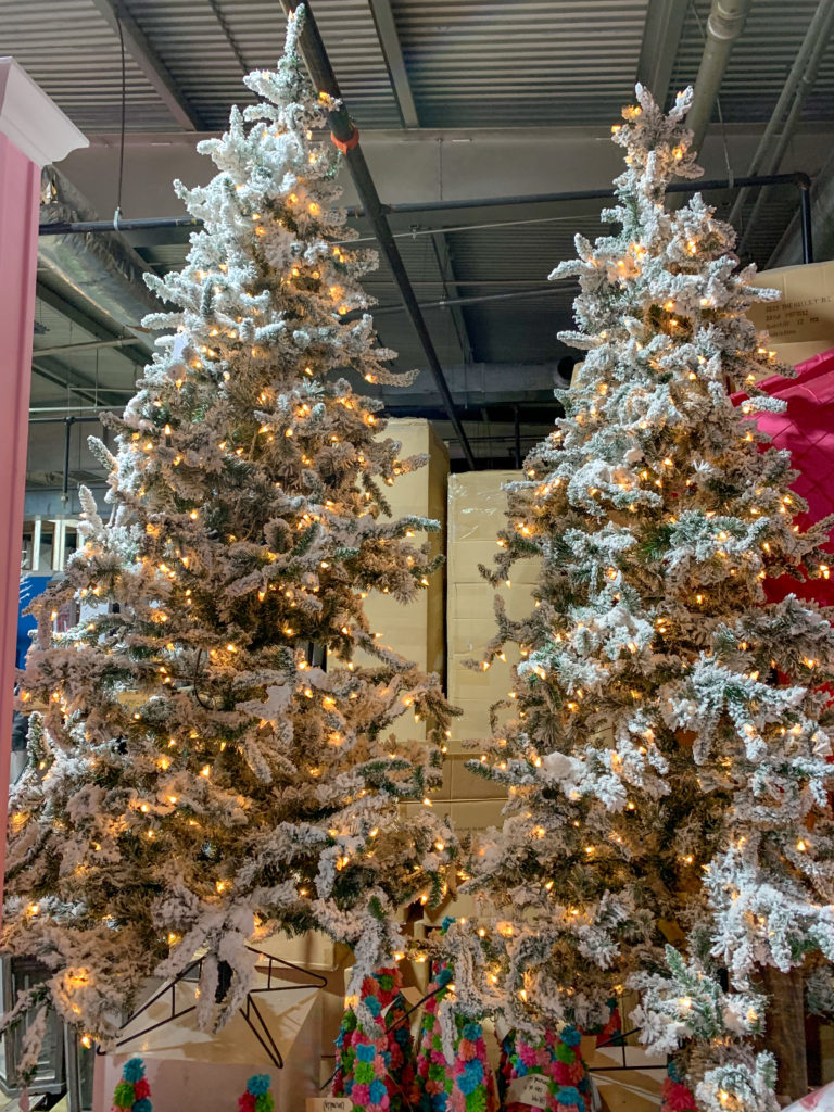 natural Christmas trees at Guess and Company