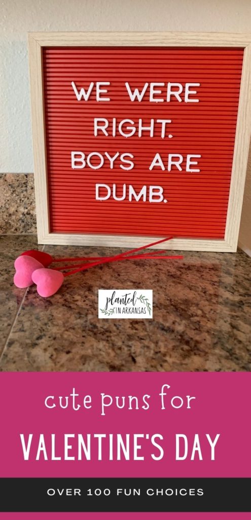 anti valentine slogans with "we were right. boys are dumb" on red letterboard