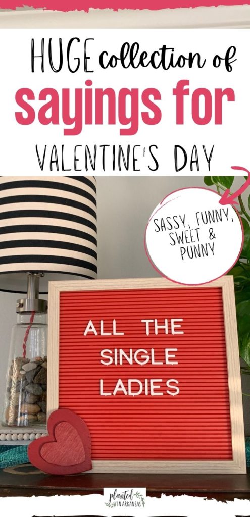 Valentine Slogans for Letter Boards and Clever Instagram Captions