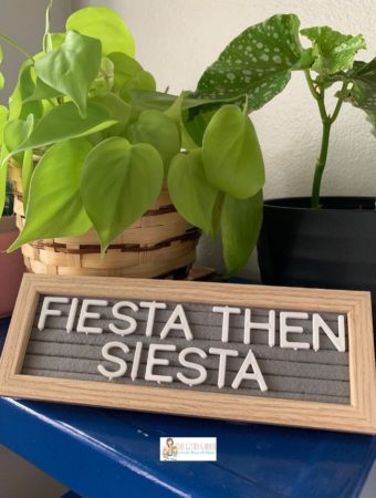 fiesta then siesta funny letter boards quote in front of plants