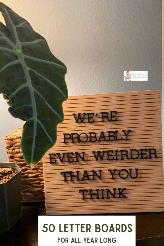 Funny Letter Boards for All Year Long - Planted in Arkansas